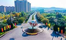半岛(中国)集团简介